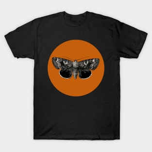 Halloween Moth, Signs and Symbol, Portents and Fortunes - Pumpkin Orange and Black Variation T-Shirt